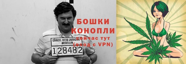 ГАЛЛЮЦИНОГЕННЫЕ ГРИБЫ Богданович