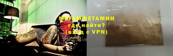 ГАЛЛЮЦИНОГЕННЫЕ ГРИБЫ Богданович