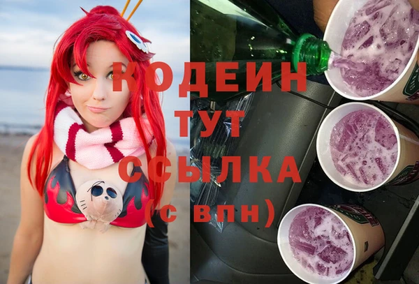 ГАЛЛЮЦИНОГЕННЫЕ ГРИБЫ Богданович