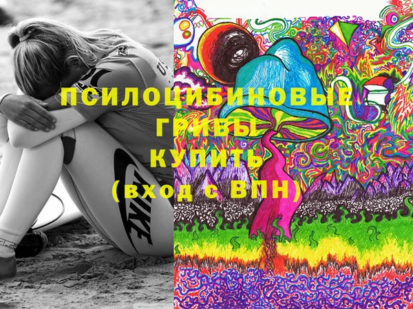 хмурый Снежинск