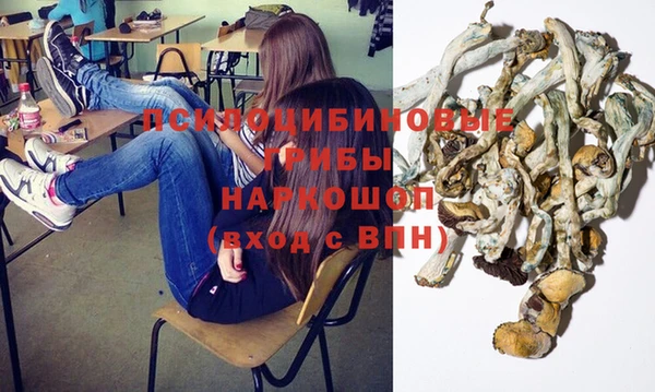 ГАЛЛЮЦИНОГЕННЫЕ ГРИБЫ Богданович
