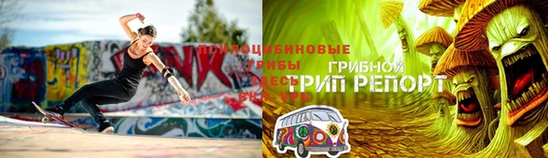 ГАЛЛЮЦИНОГЕННЫЕ ГРИБЫ Богданович